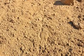 фото сеянного песка